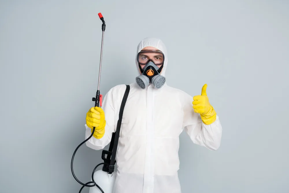 Como funciona a dedetização em hotéis e pousadas? Minha operação vai parar?