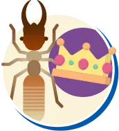 Cupim | Tipos de Cupim, Biologia da Cupim, Ciclo de vida Cupim