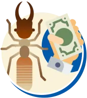 Cupim | Tipos de Cupim, Biologia da Cupim, Ciclo de vida Cupim
