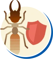 Cupim | Tipos de Cupim, Biologia da Cupim, Ciclo de vida Cupim