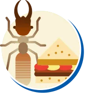 Cupim | Tipos de Cupim, Biologia da Cupim, Ciclo de vida Cupim