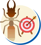 Cupim | Tipos de Cupim, Biologia da Cupim, Ciclo de vida Cupim