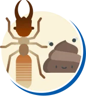 Cupim | Tipos de Cupim, Biologia da Cupim, Ciclo de vida Cupim