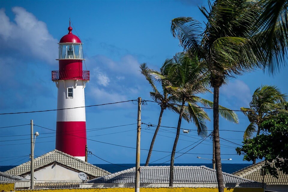 Como funciona o serviço de desinsetização em Salvador?