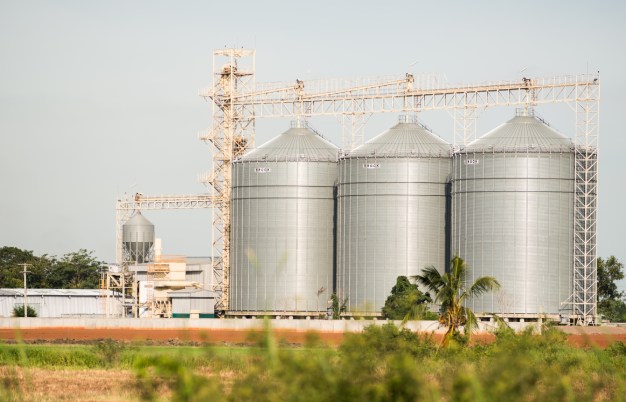 Perigos da presença de Animais Domésticos nas Unidades Industriais