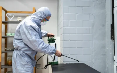 Como funcionam os serviços de sanitização?