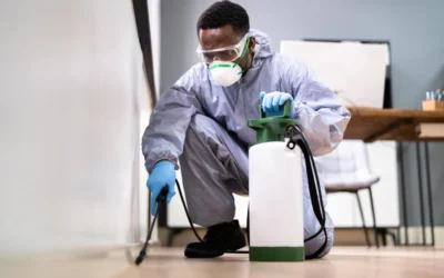 Sanitização de ambientes: conheça as vantagens