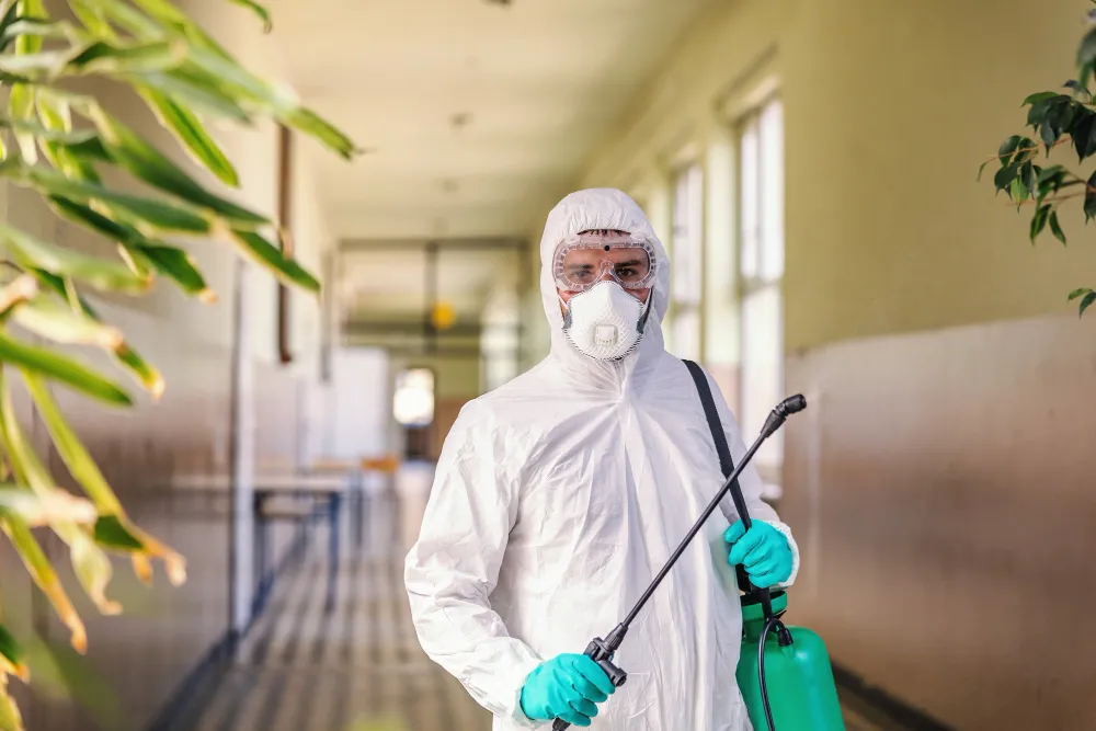 Desinsetização: Como proteger a sua empresa contra as pragas? Desinsetização: Como proteger a sua empresa contra as pragas?