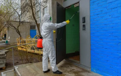 Dedetização de Empresas: conte com uma estratégia profissional