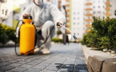 Evitando a dengue no meu quintal e condomínio
