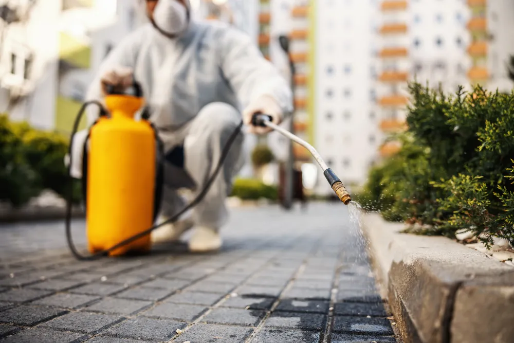 Evitando a dengue no meu quintal e condomínio