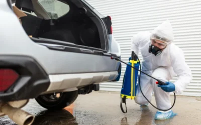 Dedetização de Carros: não dê carona para as pragas urbanas
