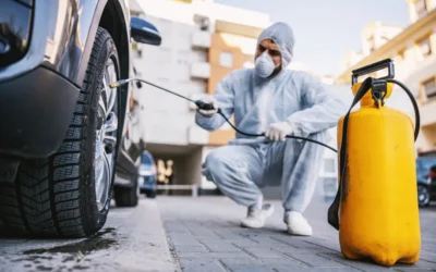 Dedetização de veículos: promova a tranquilidade para os passageiros com esse serviço
