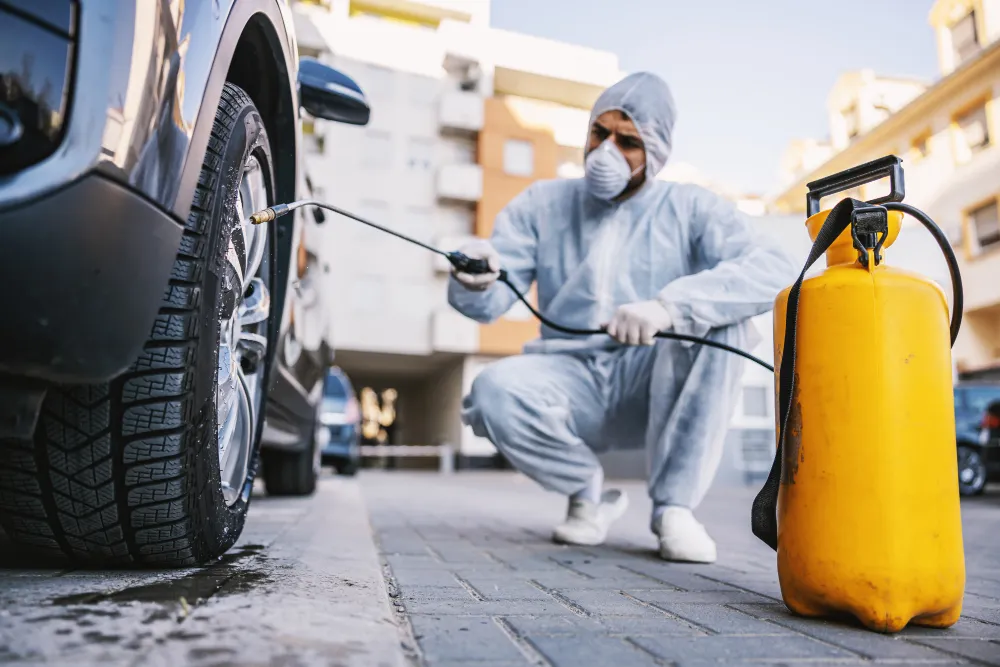Dedetização de veículos: promova a tranquilidade para os passageiros com esse serviço