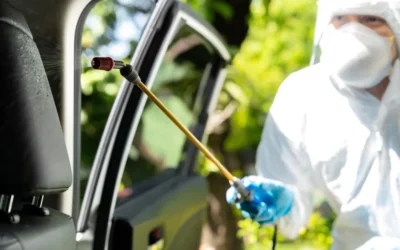Dedetização Automotiva: deixe seu veículo livre de ameaças