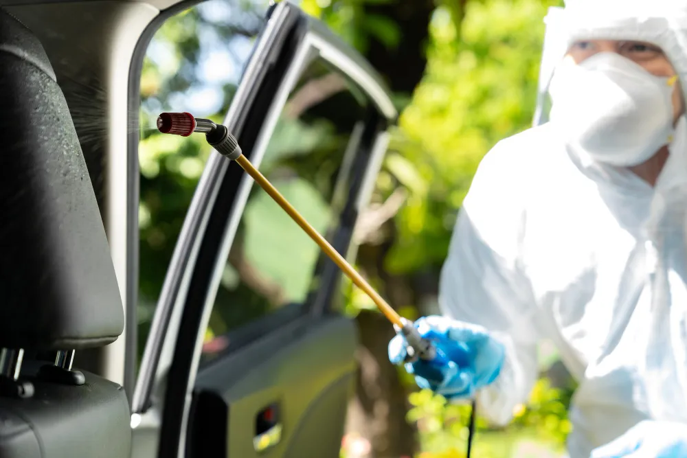 Dedetização Automotiva: deixe seu veículo livre de ameaças Dedetização Automotiva: deixe seu veículo livre de ameaças