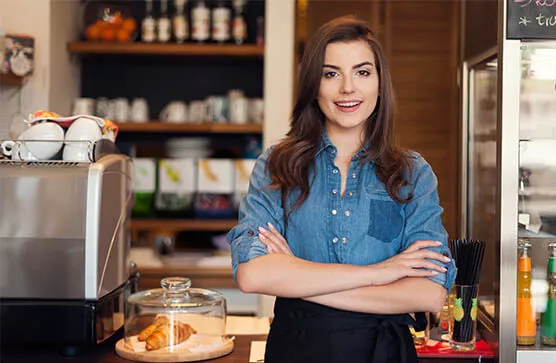 Contato e Orçamento de Dedetização em Salvador - Bahia // Dedetizadora