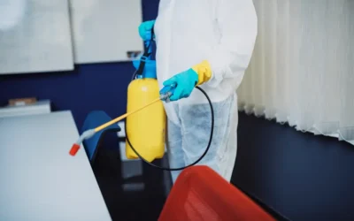 Dedetização e conformidade sanitária: o que a legislação exige em Salvador